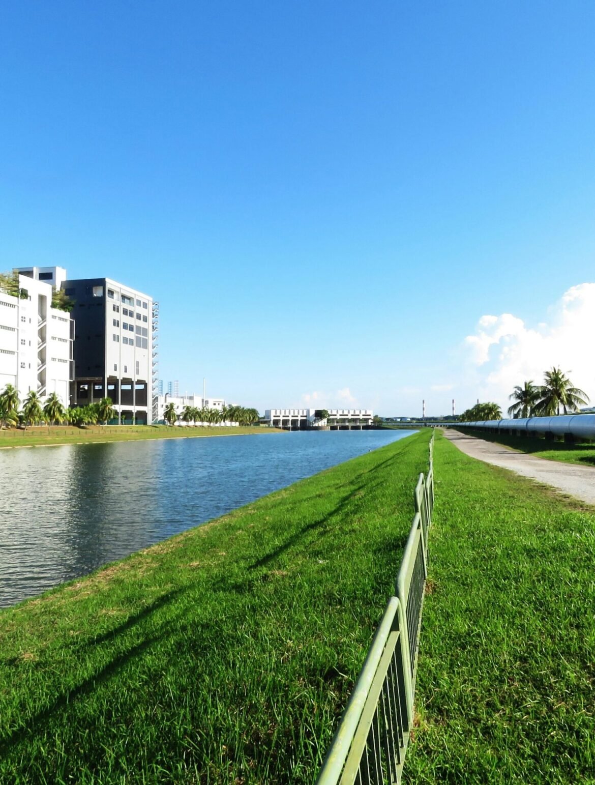 pexels-arulonline-532006